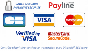 payline_logo_carte_bancaire_paiement_securise