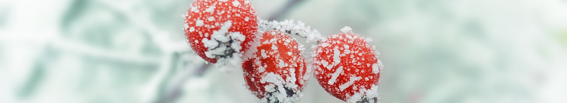 header-slider-hiver