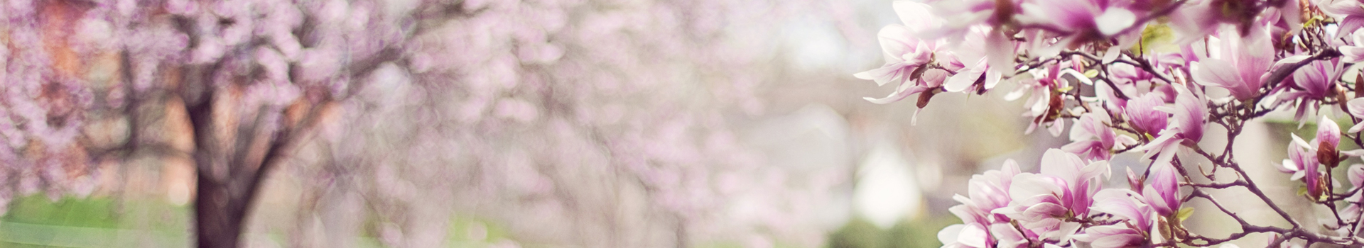 header-printemps