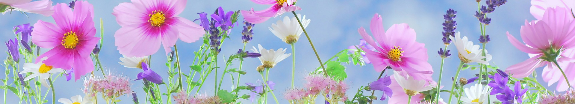 header-slider-ete